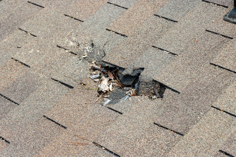 Shingle Roof Replacement in Lithonia, GA