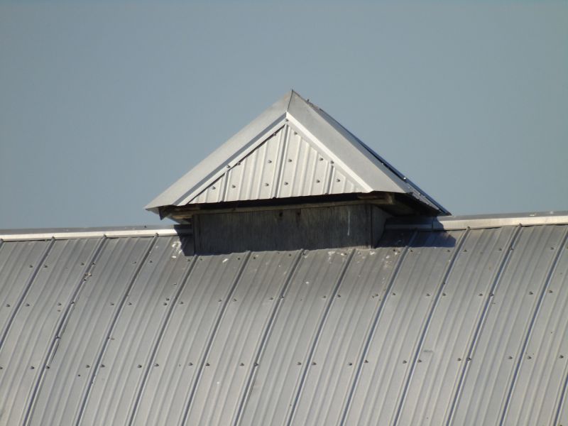 Tin Roof Installation in Duluth, GA